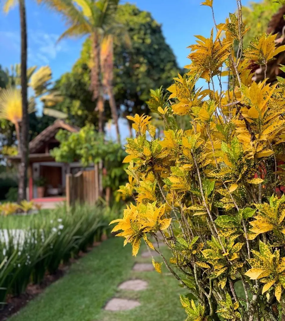 Inn Mache Pousada & Boutique - A Mais Charmosa De Arraial D Ajuda Porto Seguro